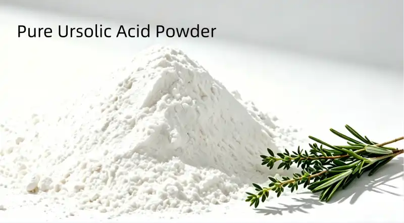 Pure Ursolic Acid Powder Benefits for Muscle Growth & Metabolism